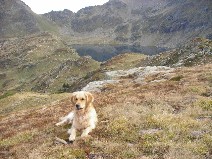 hiking in mountains